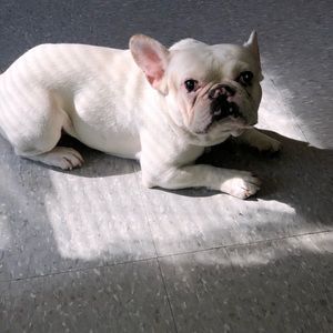 Meet your Posher, Robert